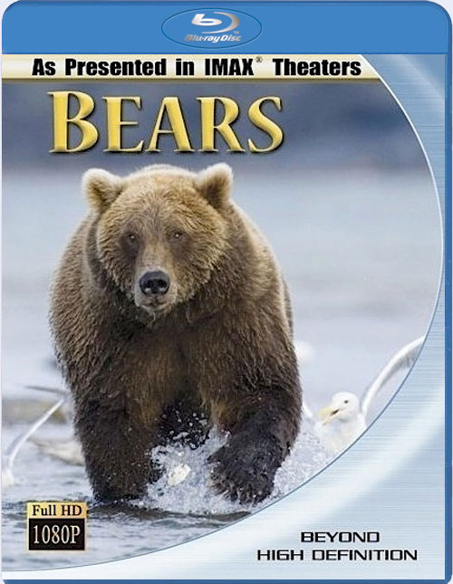 Blu-ray /  / Bears
