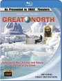 Blu-ray /   / Great North